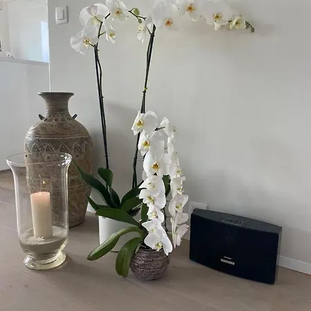 Casa Rilex - Luxe Wellness Te Oostduinkerke Villa Koksijde
