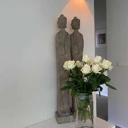 Villa Casa Rilex - Luxe Wellness Te Oostduinkerke Koksijde